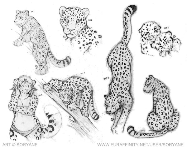 Голова леопарда