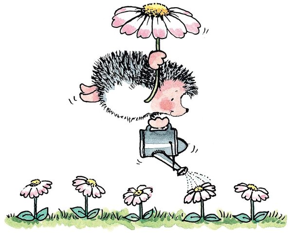 Ежики пенни Блэк