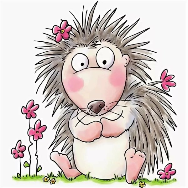 Забавные ежики рисунки