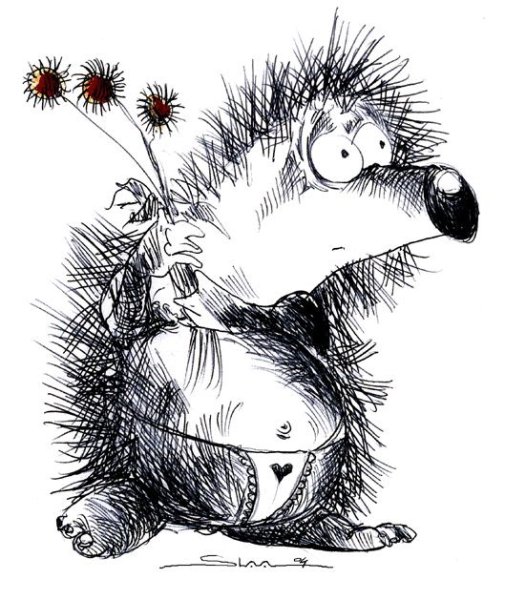 Безумный Ежик