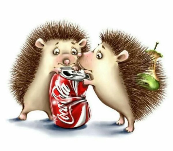 Открытки с Ёжиком прикольные