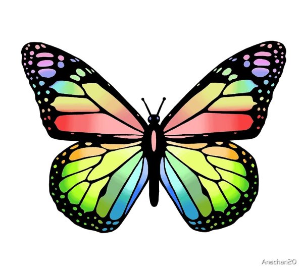 Бабочка из цветных линий