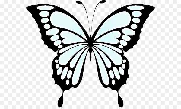 Бабочка вектор