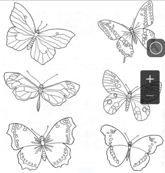 Бабочка шаблон для вышивки