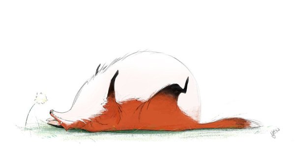 Лисенок лежит на спине