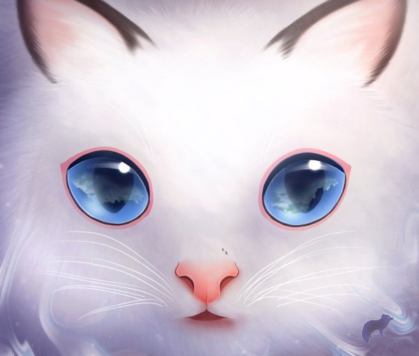 Белая кошка с голубыми глазами аниме