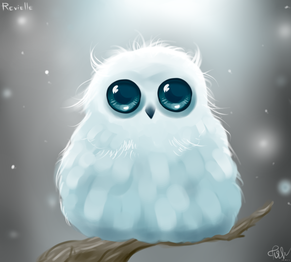 Няшные Совы