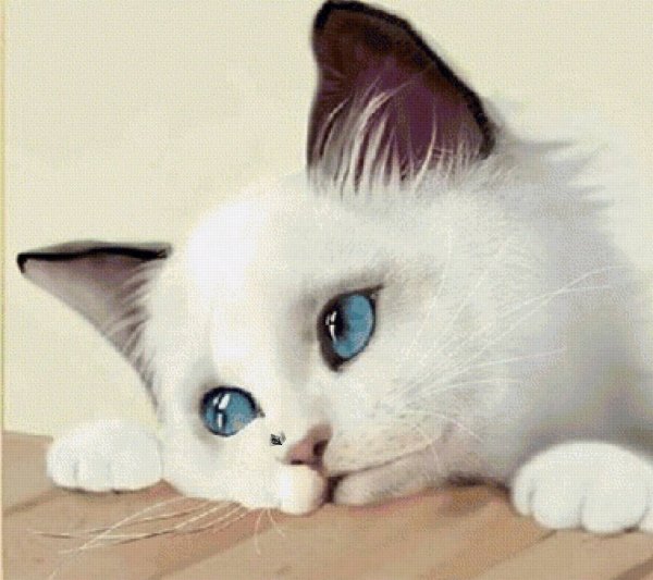 Белая кошечка с голубыми глазами
