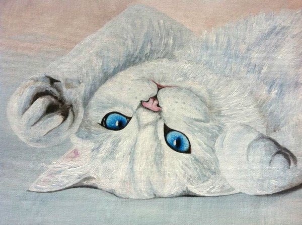 Кошечки живопись на голубом