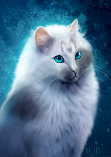 Белая кошка с голубыми глазами арт