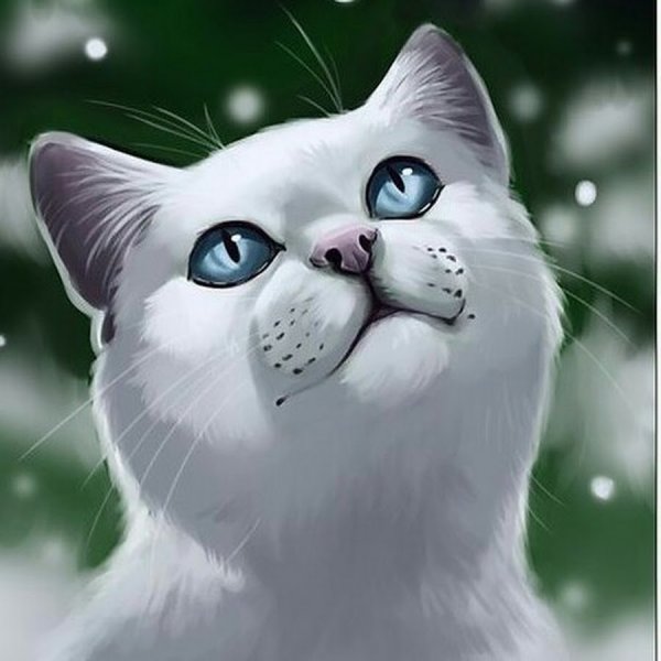 Коты Воители белая кошка