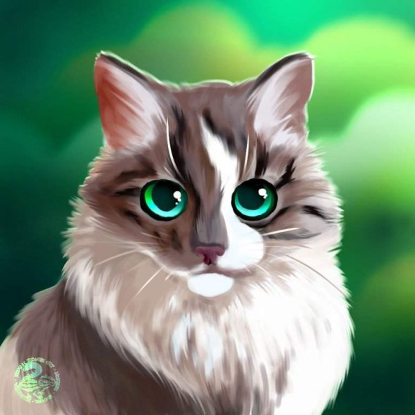 Коты Воители белый кот с зелеными глазами