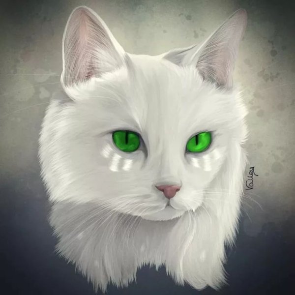 Коты Воители белая кошка с зелёными глазами