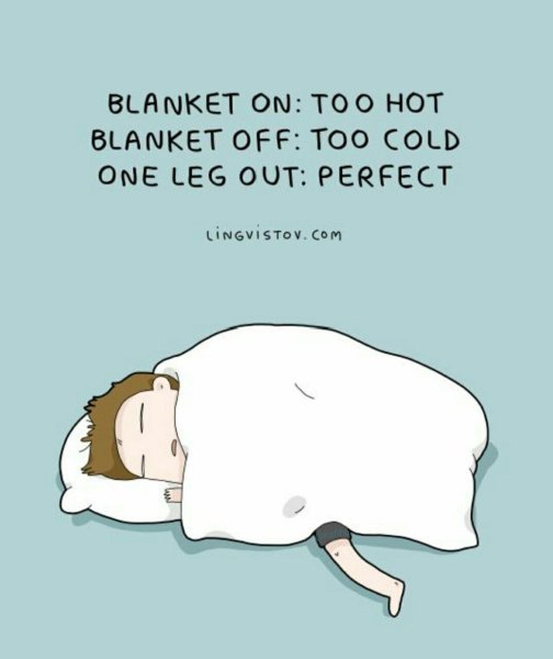 Цитаты про сон смешные