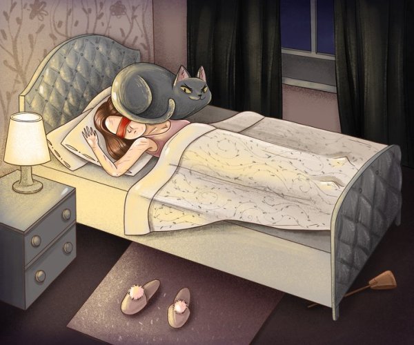 Спокойной ночи мультяшные