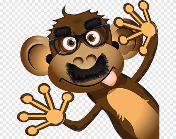 Обезьянка выглядывает