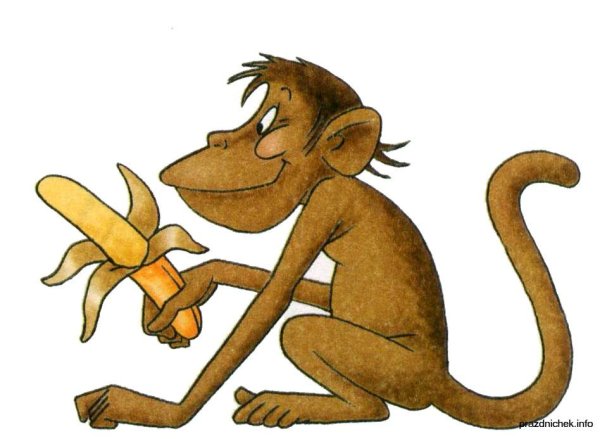 Загадка про обезьянку