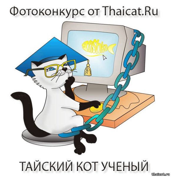 Смешной кот учёный