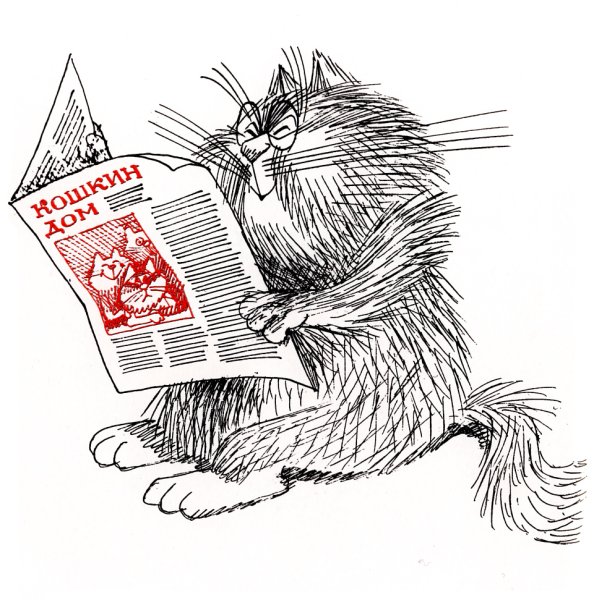 Кот читает газету