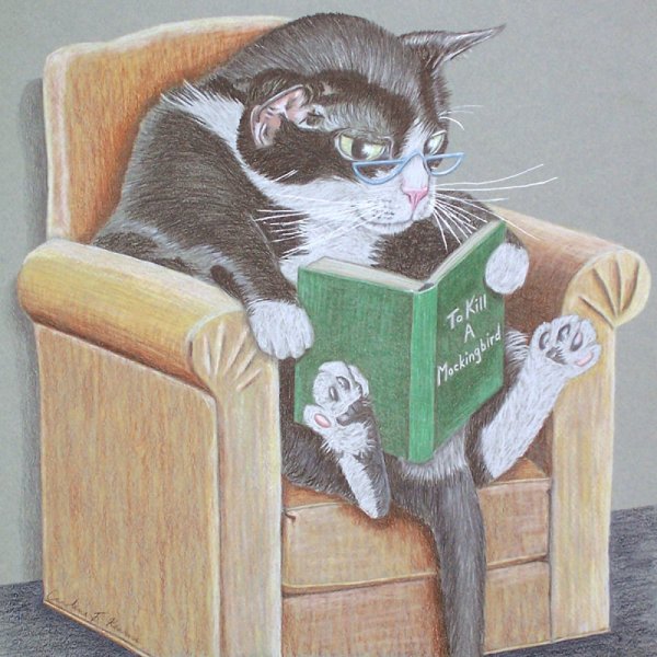 Кот с книжкой