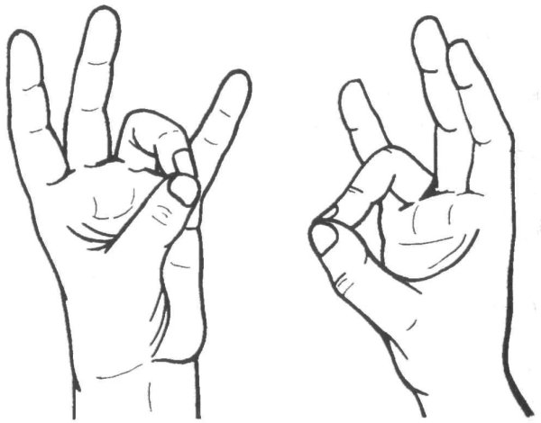 Притхиви мудра мудра земли