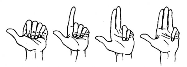 Пальцы загибание большого и указательного