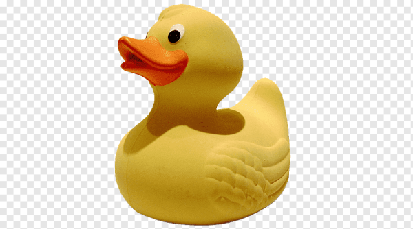 Картина с гусем