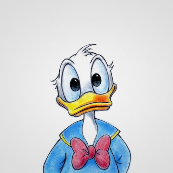 Утка на аву