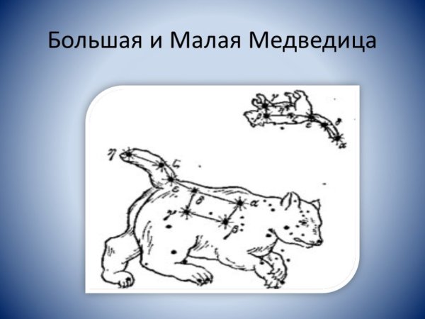 Сказка про большую и малую медведицу для детей