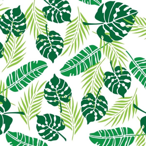 Листья Минимализм