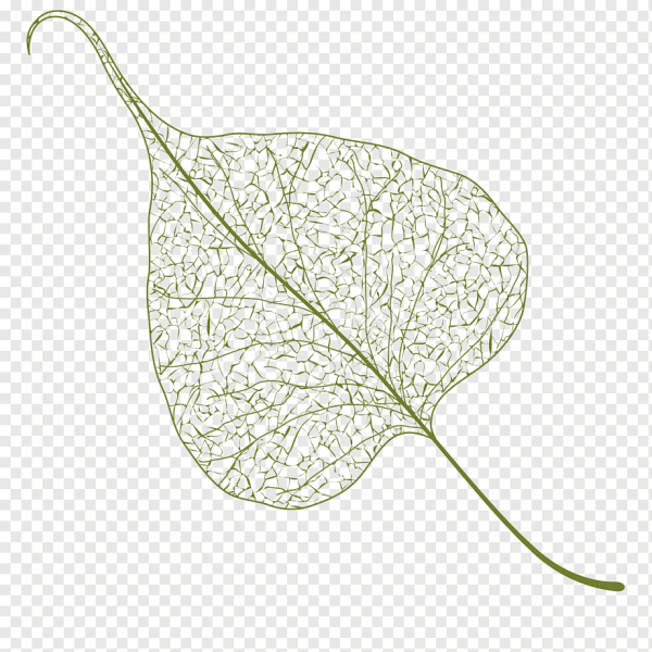 Листья Векторная Графика