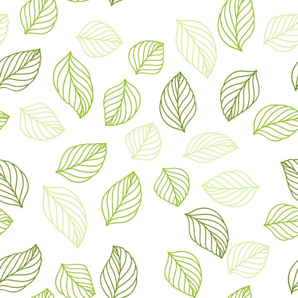 Лист монстеры контур