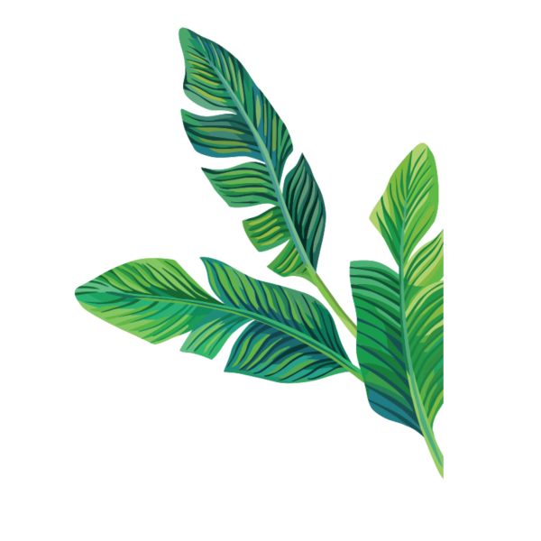 Векторный лист дерева