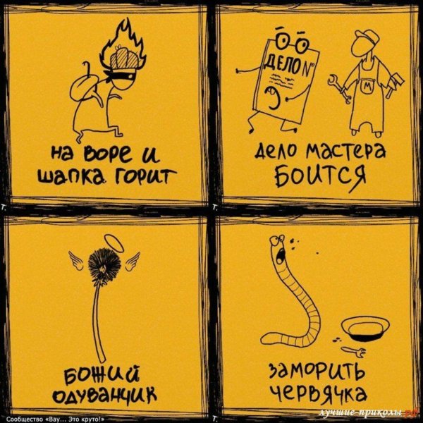 Фразеологизмы смешные картинки