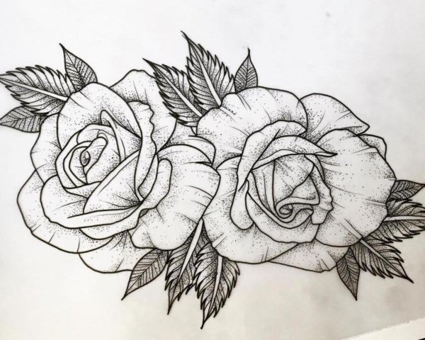 Девушка с розой рисунок