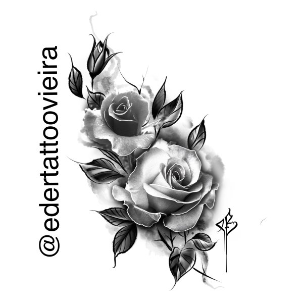 Красные розы акварель