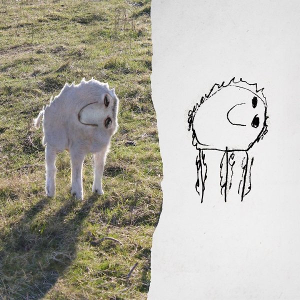 Рисунки в реальной жизни