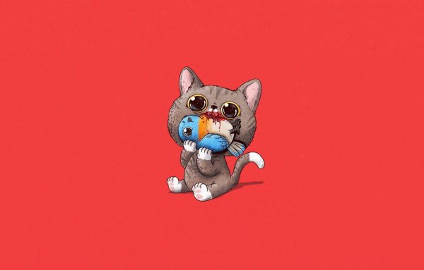 Прикольные обои