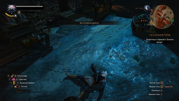 Сон в большом городе Ведьмак 3