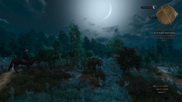 Ведьмак 3 Новиград полная карта