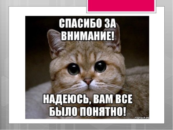 Спасибо за внимание
