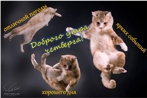 Доброе утро четверга