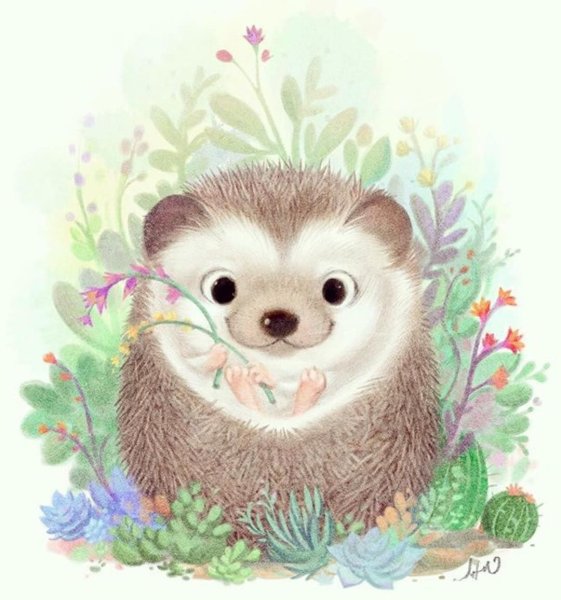 Доброе утро четверга