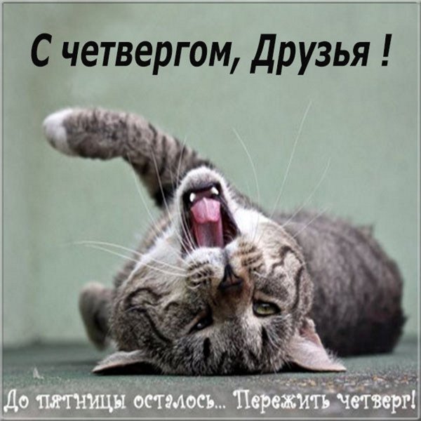 Смешные фразы про четверг