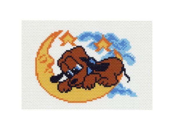 Вышивка на канве Splash