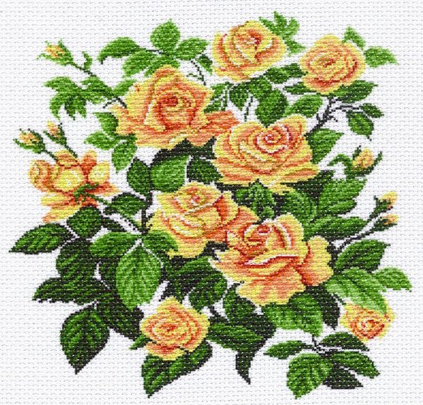 Матренин Посад желтые розы