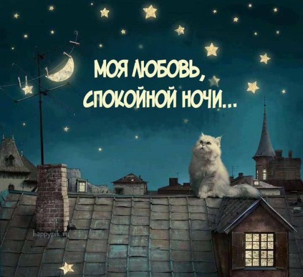 Прикольные пожелания спокойной ночи