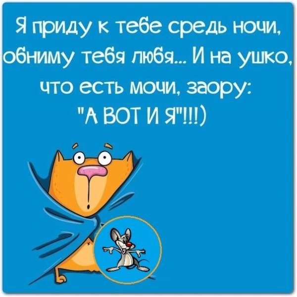 Прикольные пожелания спокойной ночи