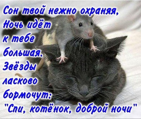 Пожелания доброй ночи