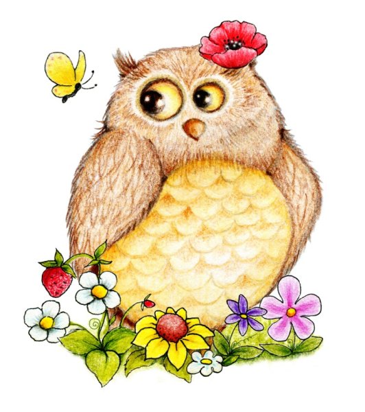 Совы мультяшные прикольные